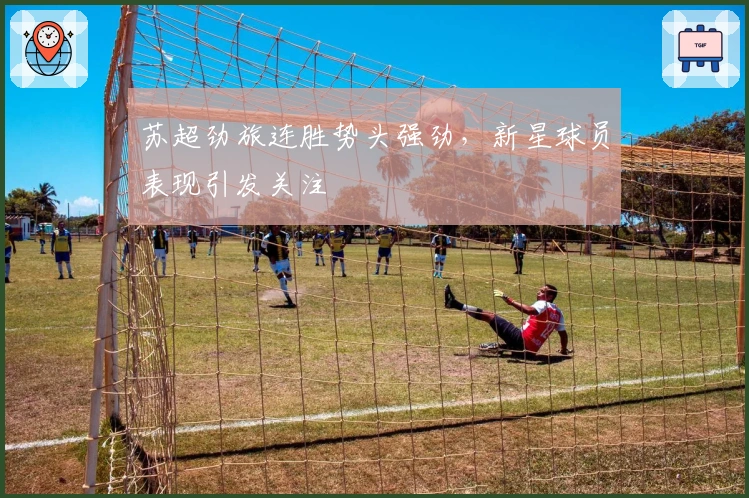 苏超劲旅连胜势头强劲，新星球员表现引发关注